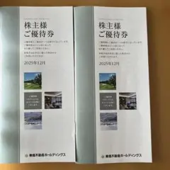 東急不動産株主優待ホールディングス　500株以上1000株未満 2冊セット