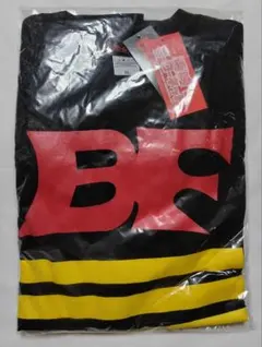 Item thumbnail for item 10d6bec7-bdd0-4ae4-ae60-d5bfc0c5d64e