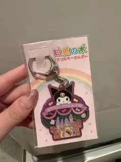 クロミ　シナモロール　キーホルダーセット