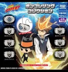 家庭教師ヒットマンREBORN! ボンゴレリング コレクション【コンプセット】