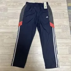 Item thumbnail for item 57509f1d-9cf4-4eda-bb4a-cb441c41934f