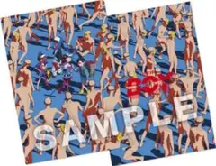 新品　King Gnu boy kinggnu 常田大希　クリアファイル　グッズ