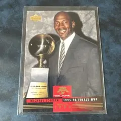 UD MICHAEL JORDAN MR.JUNE マイケルジョーダン MJ10