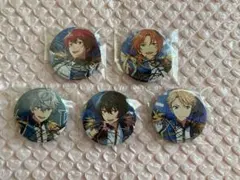 あんスタ　ポートレート缶バッジ　Knights