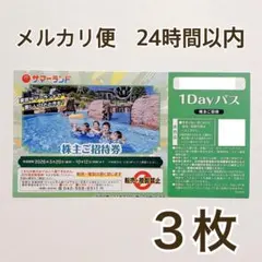 東京サマーランド　1Dayフリーパス　株主優待招待券 東京サマーランド株主ご招待券 1DAYパス フリーパス 株式優待 3枚