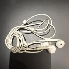 Apple EarPods with Lightning Connector