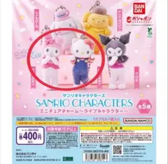 サンリオキャラクターズ ミニチュアチャーム ライブキャラクター マイメロ＆キティ