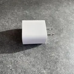 【タイプC】充電器 ホワイト 2ピンプラグ