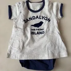 【Combi mini】アザラシ　ラップミニ　70-80cmのサムネイル