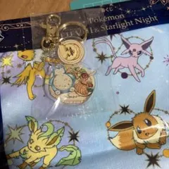 ポケモンカフェ アクキー　カビゴン　アクキー　ハンドタオル　新品　２点セット