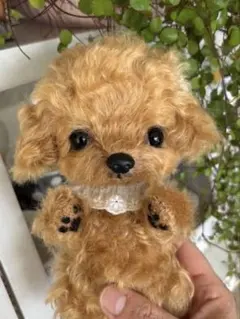 2026年最新】マルプー ぬいぐるみの人気アイテム - メルカリ