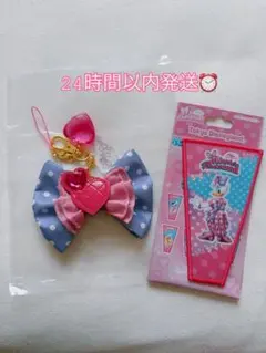 ミニー　パルパルーザ　デイジー　キーチェーンとワッペンアクセサリーのセット