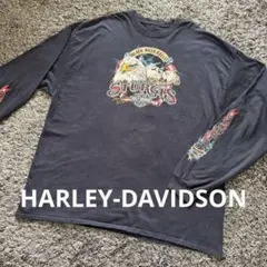 1132 Santa Cruz O'Brien Reaper L/S Tee L - メルカリ