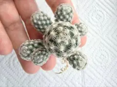 衣かたしき様 リクエスト 2点 まとめ商品