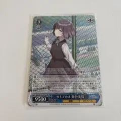 2026年最新】ツキノカメの人気アイテム - メルカリ