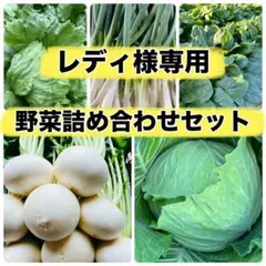 レディ様専用ページ‼️野菜詰め合わせセット‼️