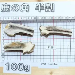 鹿の角 半割 F58 100g 兵庫県産 鹿角 鹿のツノ しかつののサムネイル
