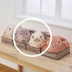 フェリシモ　うさぎを飼ってる気分の収納ケースの会　2個セットのサムネイル