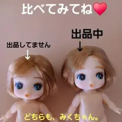 あさり様 リクエスト 2点 まとめ商品