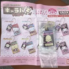 ポチャッコ キャラパキ チョコレート ミニチュアコレクション サンリオ ガチャ