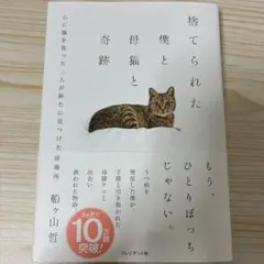 捨てられた僕と母猫と奇跡 : 心に傷を負った二人が新たに見つけた居場所