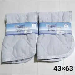 2枚セット 接触冷感 吸水速乾 枕パッド ピローパット 43×63 ライトグレー