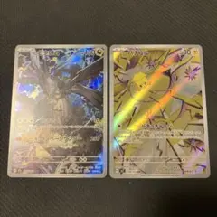 nのゼクロム　バチュル　ar