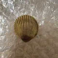 pluie シェル　ヘアタイ