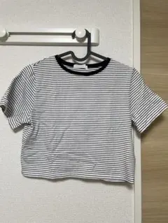 【限定値下げ】SENSE OF PLACEボーダー柄 クロップド丈 Tシャツ