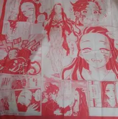 鬼滅の刃　竈門禰豆子　胡蝶しのぶ二枚セット