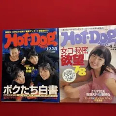 Hot・Dog PRESS ホットドッグプレス 小池栄子さん - メルカリ
