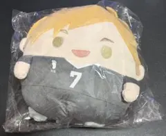 Item thumbnail for item a12fece4-751e-443a-93cc-8c2cff6498dc