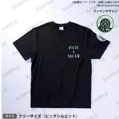 Item thumbnail for item 62abaa06-2120-4cba-a575-e77b910d89fa