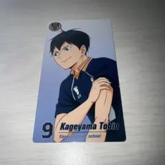 ハイキュー ごみ捨て場の決戦展 影山飛雄 カード