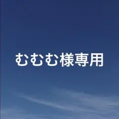 むむむ様 リクエスト 4点 まとめ商品