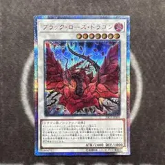2025年最新】ブラックローズドラゴン 20thの人気アイテム - メルカリ