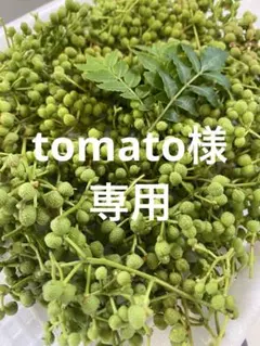 tomato様　専用のサムネイル