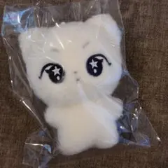 boys planet サンウォン リオ ぬい ぬいぐるみ 人形 10cm - メルカリ