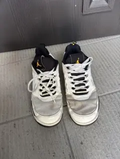 Item thumbnail for item 52bbe1b8-340e-4fcf-9c26-6ea47a88e6b6