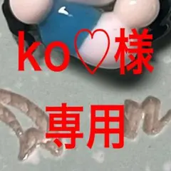 専用ページ