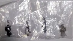 つながリングチャーム ハイキュー ケンマネコ クロオネコ アカアシフクロウ