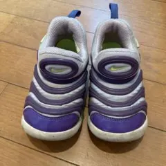 NIKE ナイキ ダイナモフリー　15センチ