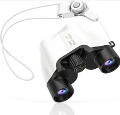 Item thumbnail for item 0f20578e-5b1f-4e4a-9d4f-d28e736a6e42