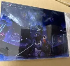 アノー：ミューテーショネム コンプリートエディション　特典　アクリルパネル