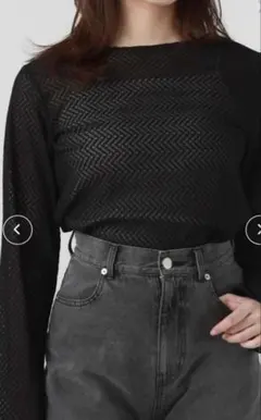 アルシーブシースルーレースヘリンボーンパターン ブラック長袖トップス