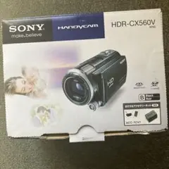 2025年最新】hdr-cx560vの人気アイテム - メルカリ