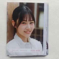 向井純葉 ダメージあり 生写真 まとめ売り 櫻坂46