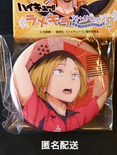 2025年最新】ハイキュー!!ラメキラカンバッジコレクション3の人気