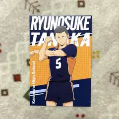 【ハイキュー】田中龍之介（ポストカード）