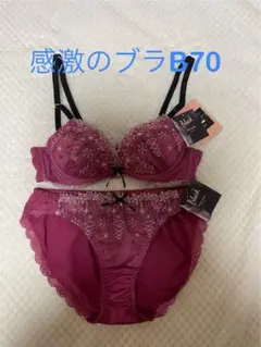 チュチュアンナ感激のブラB70 ショーツM